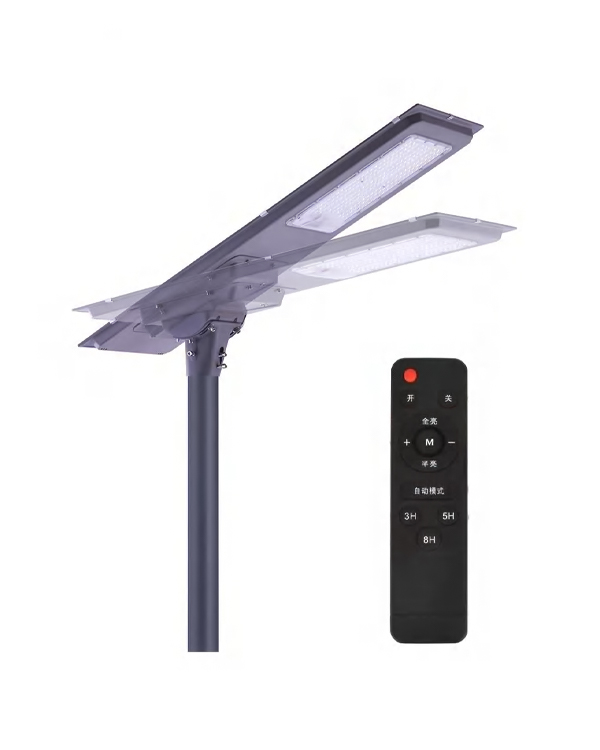 CH Series Human Body Sensor All-in-One Solar Street Light