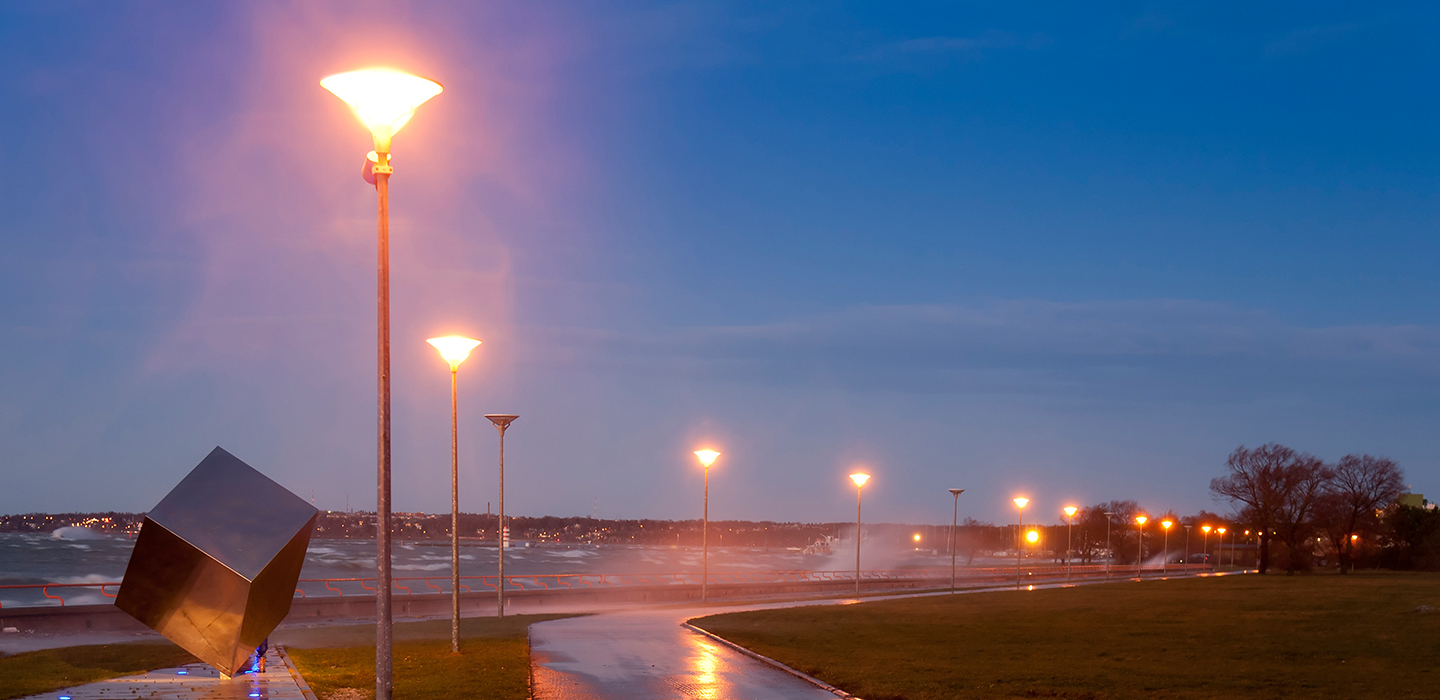 Solar Garden Light